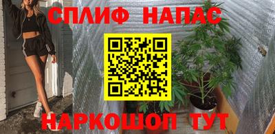 Альфа ПВП Можга