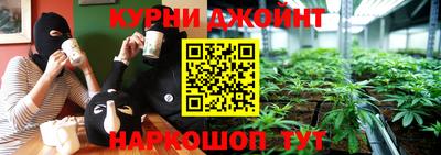 Альфа ПВП Можга