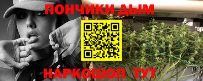 Альфа ПВП Можга