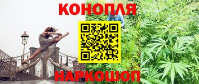 Альфа ПВП Можга