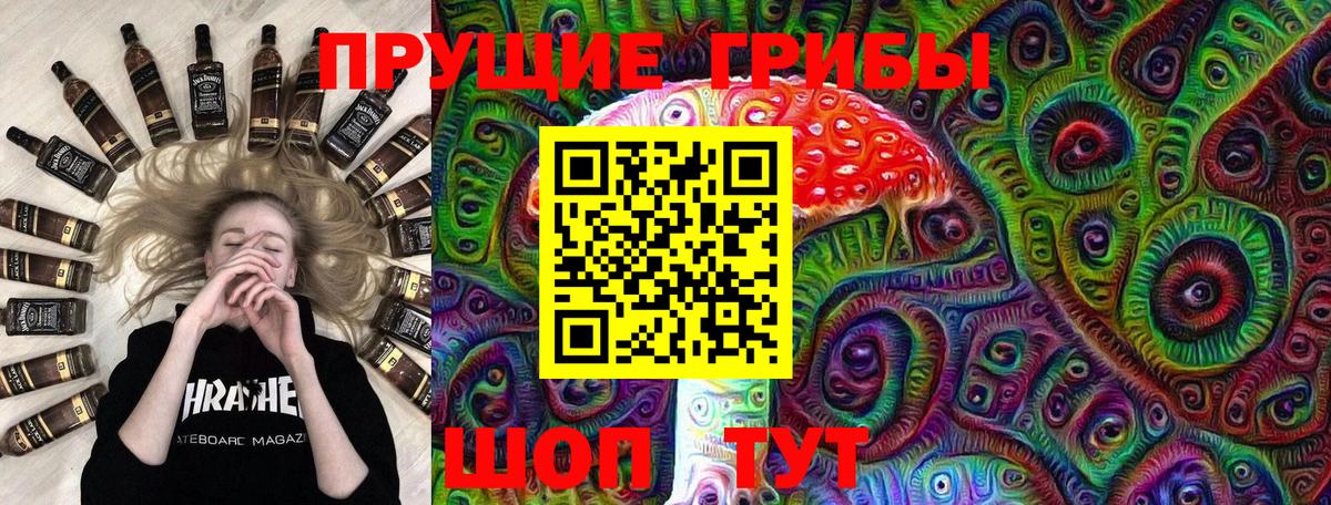 Галлюциногенные грибы Psilocybe  Вход с VPN  Углич 