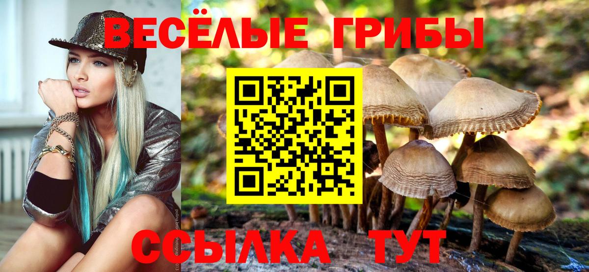 Галлюциногенные грибы прущие грибы Углич